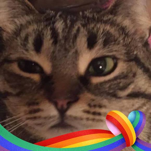 Meet your Posher, Maggie - Picture 1 of 1